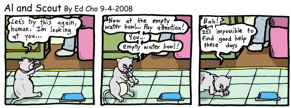 062 Thirsty Cat