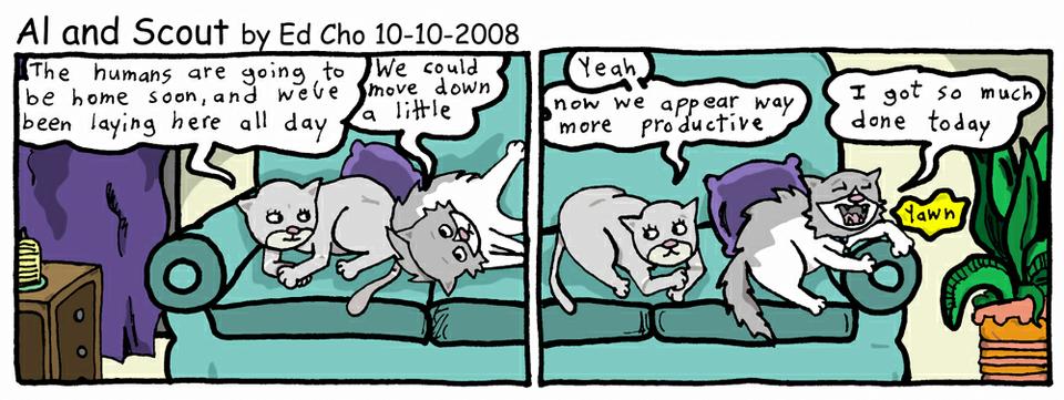 067 Cat Productivity