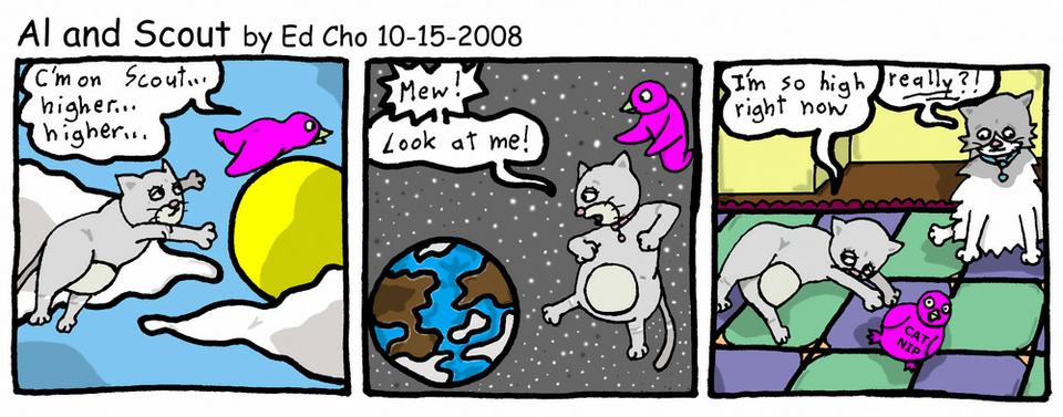 068 Fun with Catnip