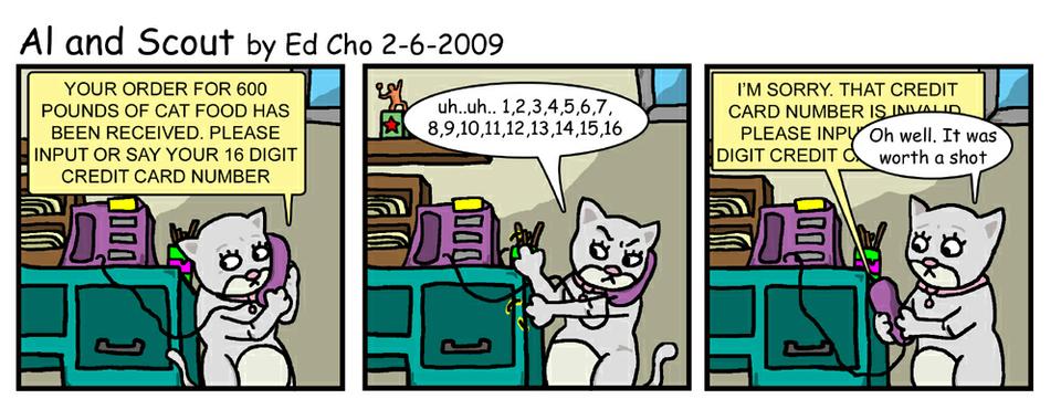 084 Credit Card Fraud