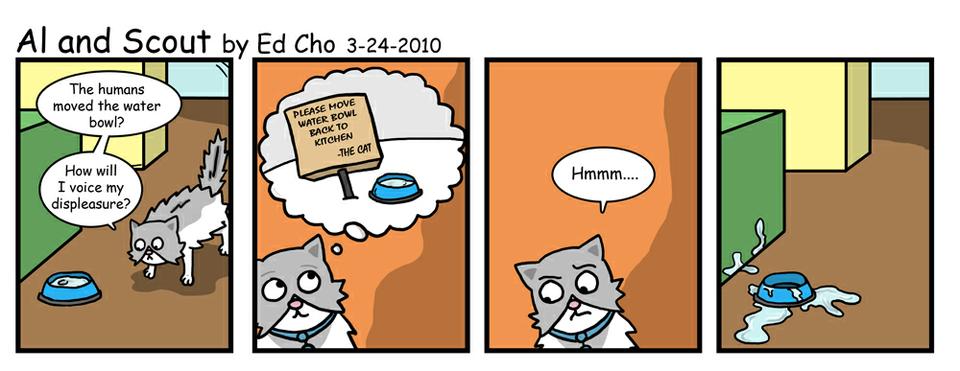 137 Cat Communication