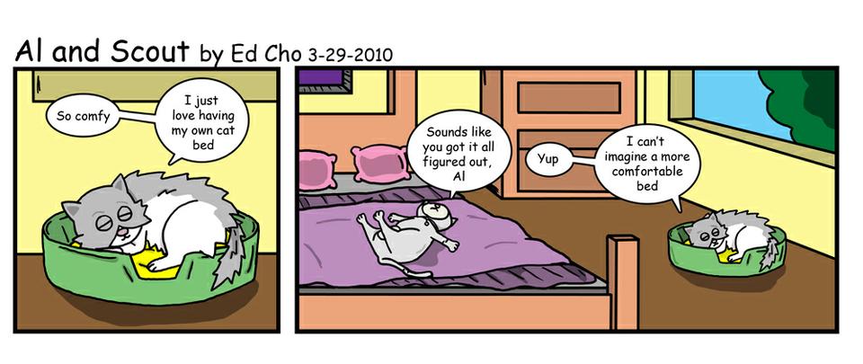 138 A Cat Bed of One's Own 