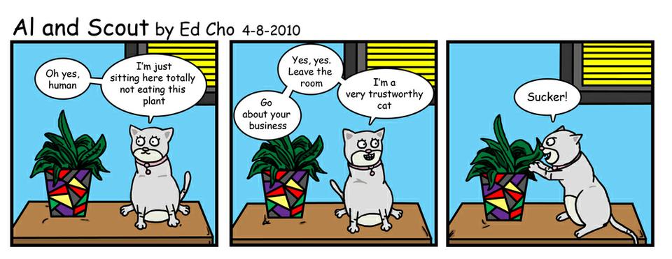 139 A Trustworthy Cat