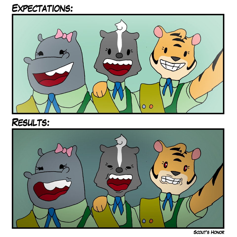 Expectations vs Reality