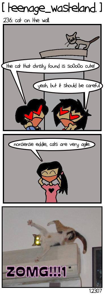 236: Cat On The Wall