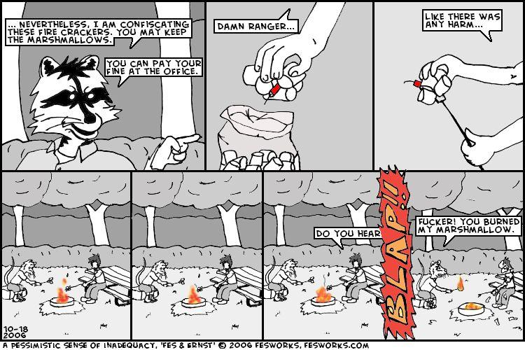 00050 - "Roasting Marshmallows."