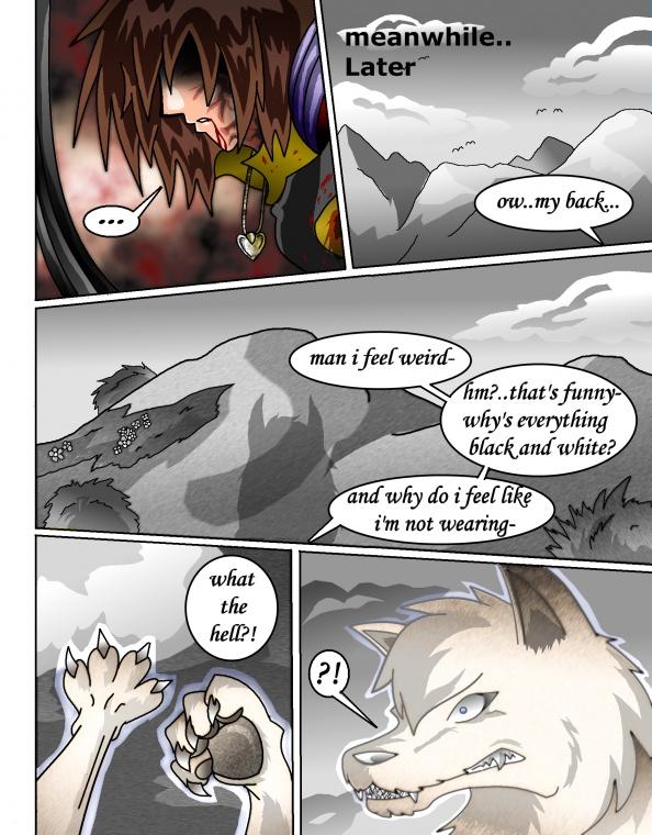 Heart shaped locket and the white wolf