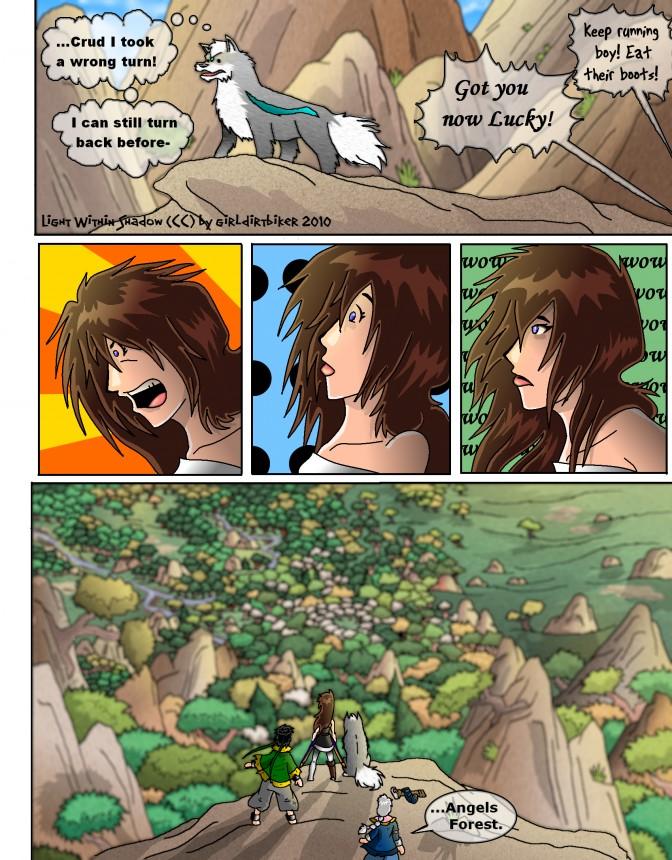 Angel's Forest
