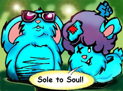 Sole to Soul