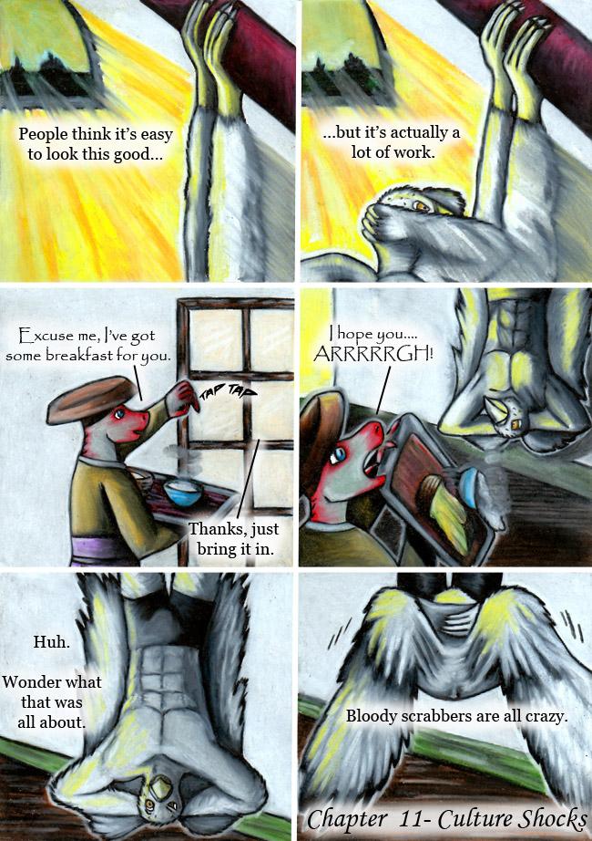 Chapter 11- Culture Shock