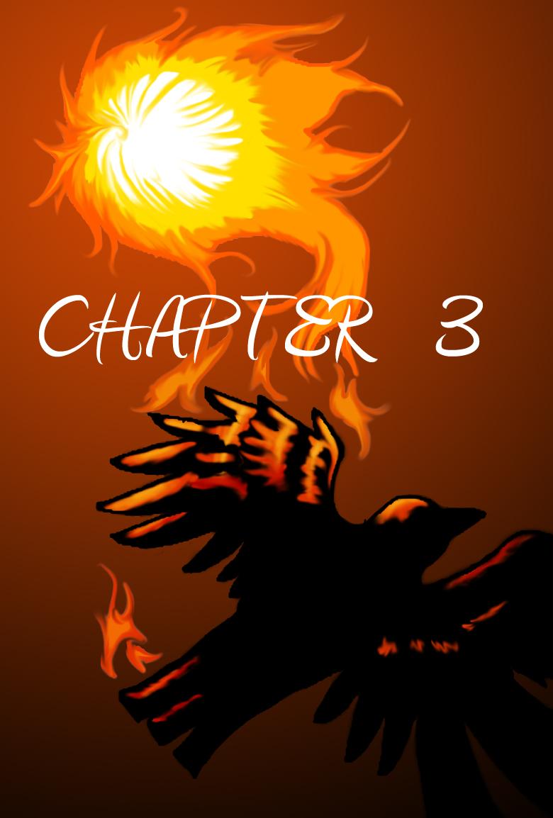 Chapter 3: The Crow That Burned It's Wings