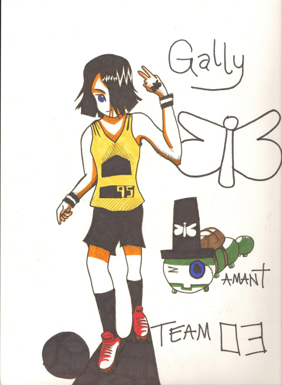 Gakku Combetent Gally colored