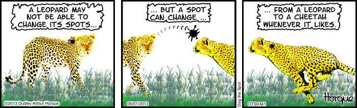 Dog the Spot: Big Cat