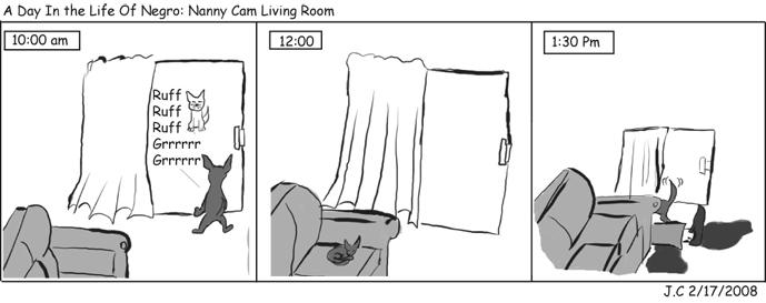 A Day In the Life of Negro- Nanny Cam