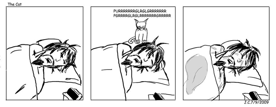 The Cat