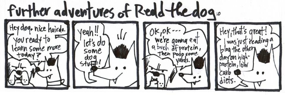 Further Adventures of... Comics 17