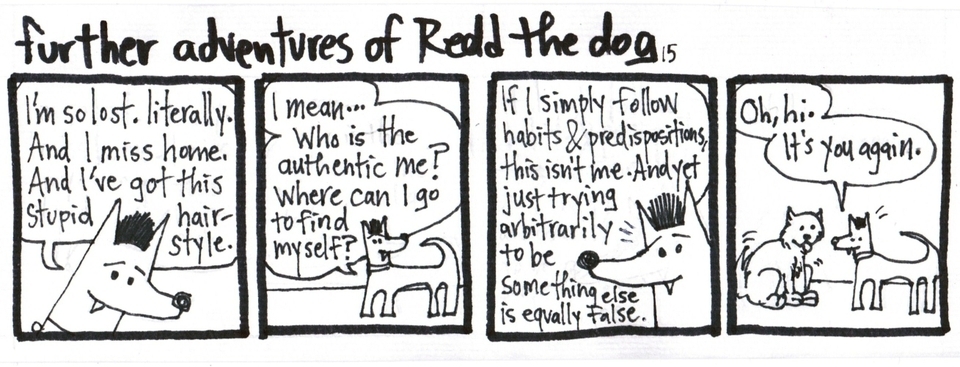 Further Adventures of... Comics 24