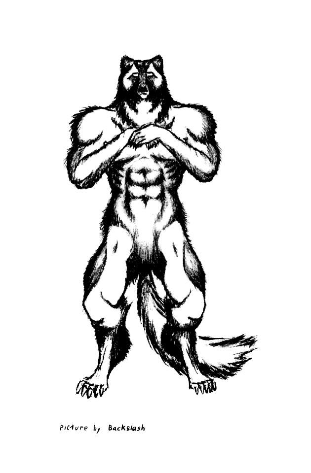IW 02 i 24 - Back Cover , Iron Wolf by Backslash