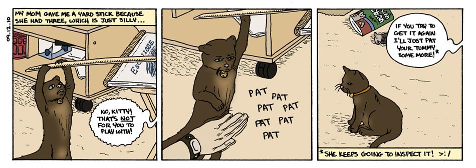 Sept 12, 2010 - cat pat
