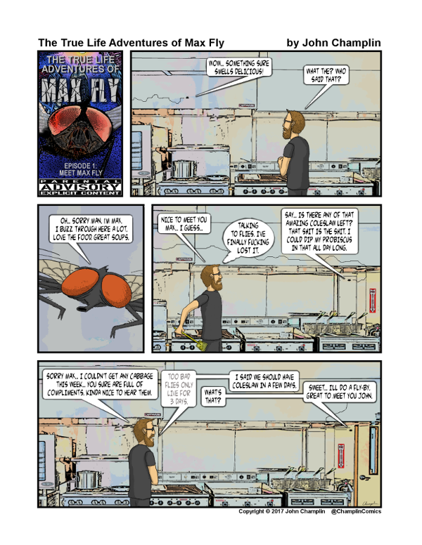 Episode 1: Meet Max Fly