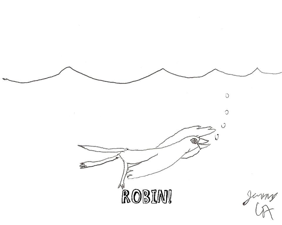 #53a: Swimming Robin