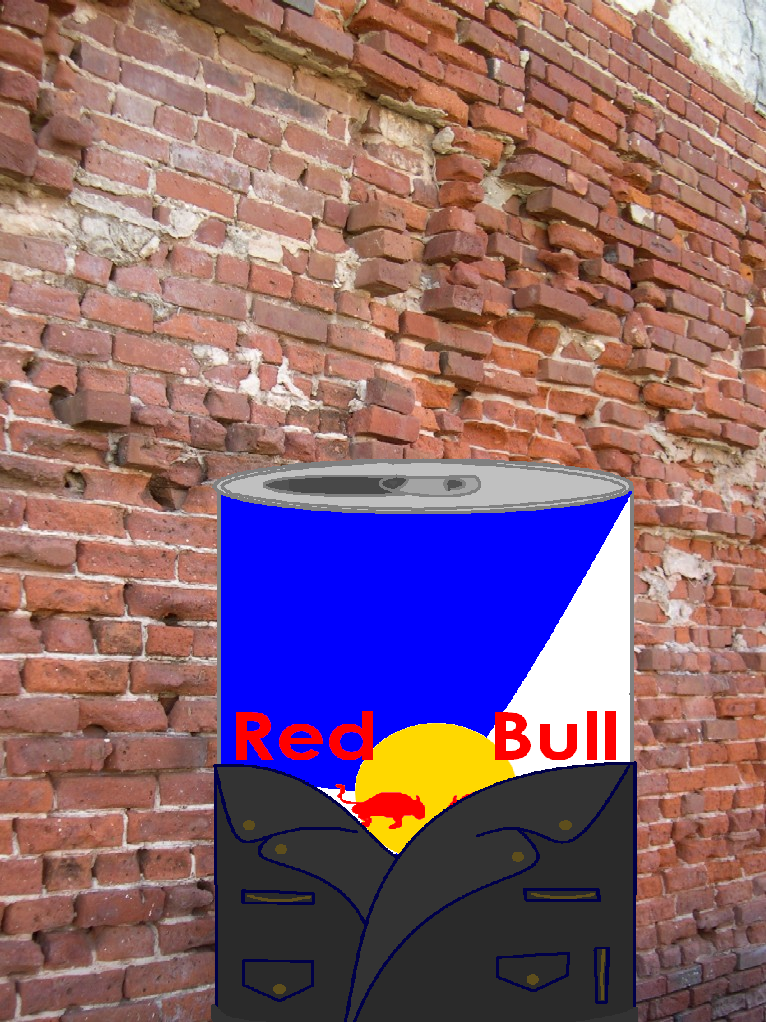 RedBull Without A Cause