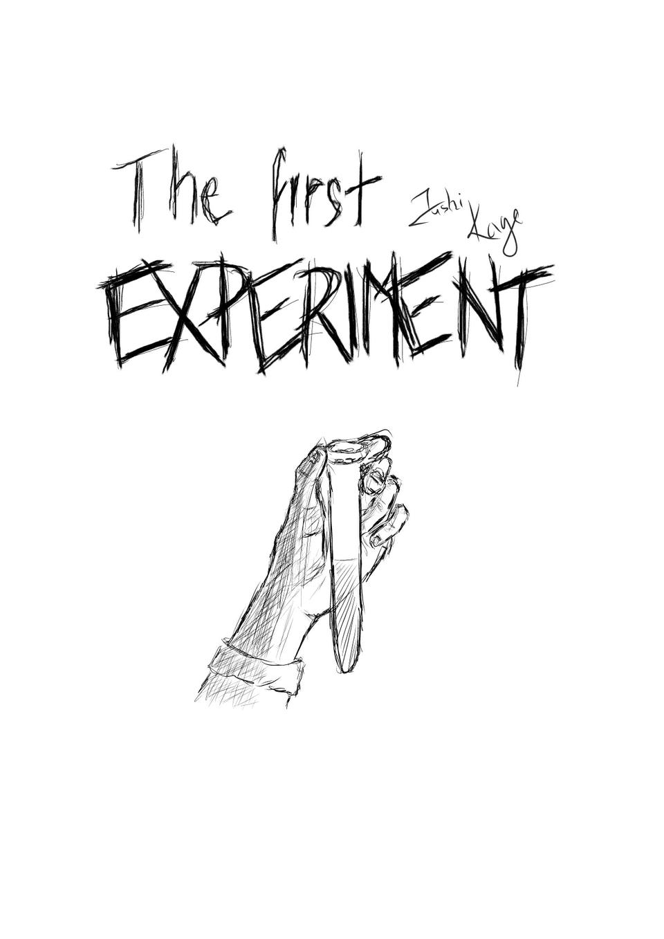 The First Experiment