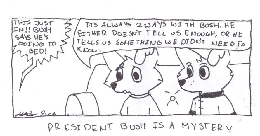 2's a Company - President Bush is a Mystery