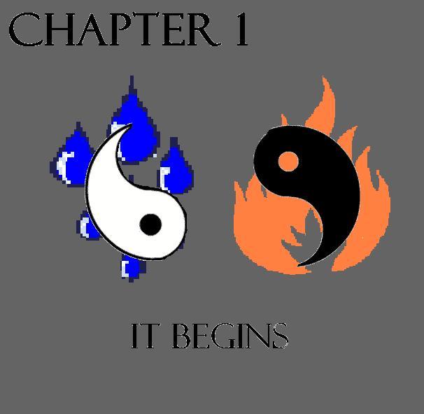 Chapter 1 cover