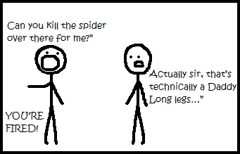 128. Spiders