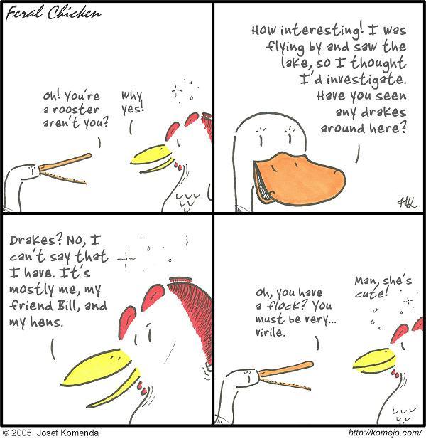 The Virile Chicken Of Clayton