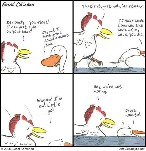 Your Duck Also Functions As A Flotation Device