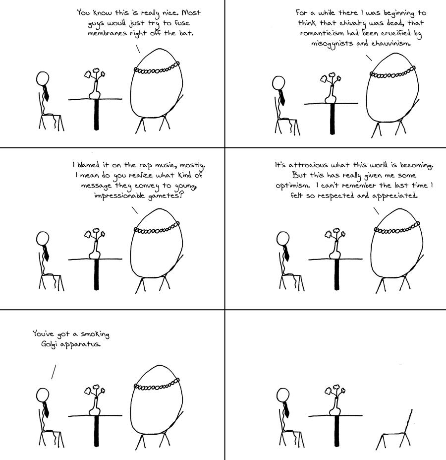 Chivalry