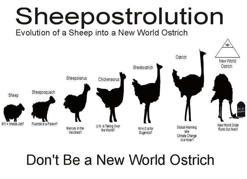 FILLER:  SHEEPOSTROLUTION