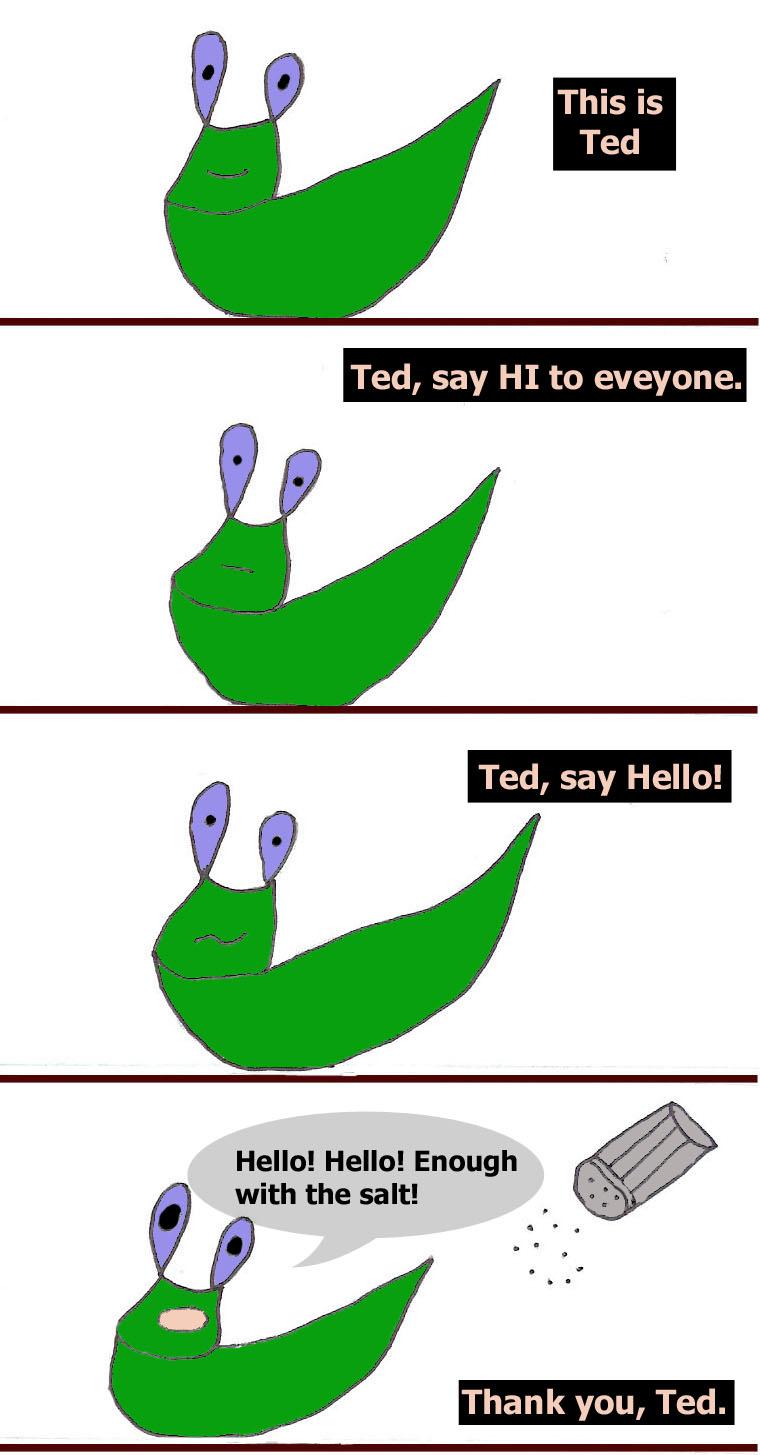 Meet Ted