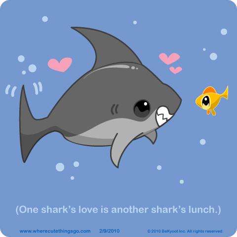 One Shark's Love...