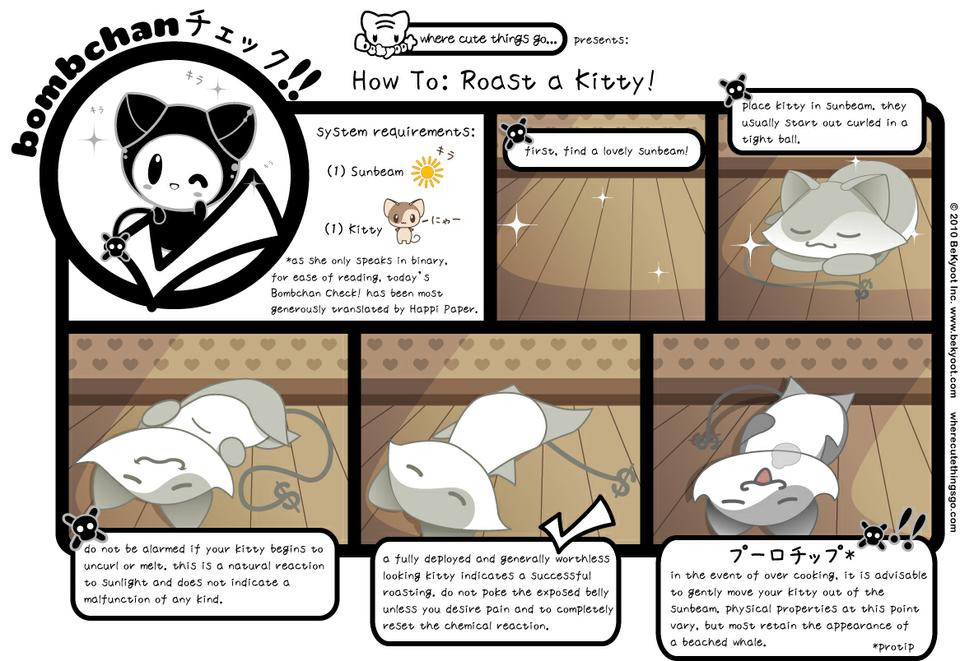 How to Roast a Kitty