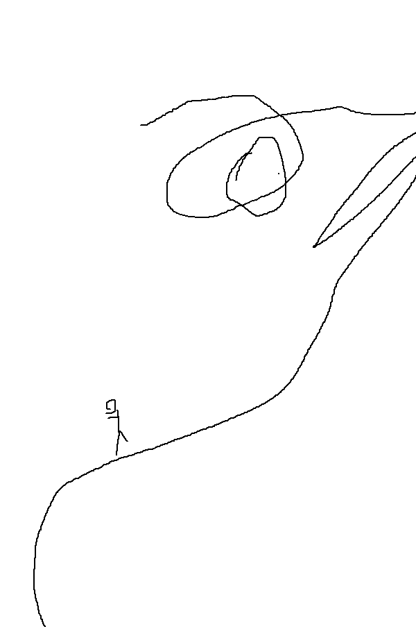 Doodle 6