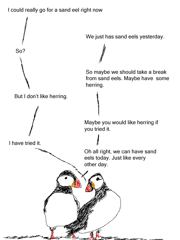 Puffins