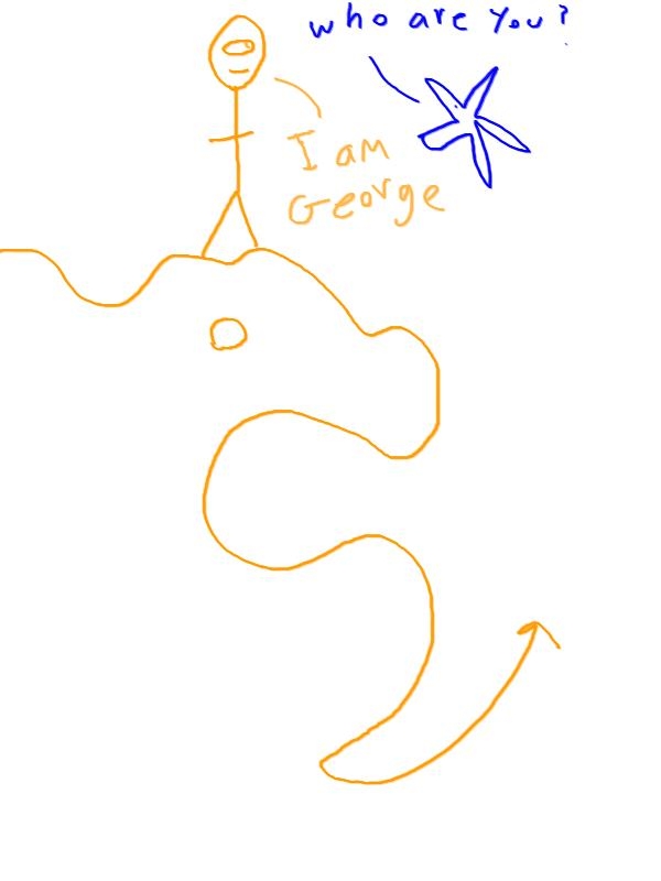 George 2
