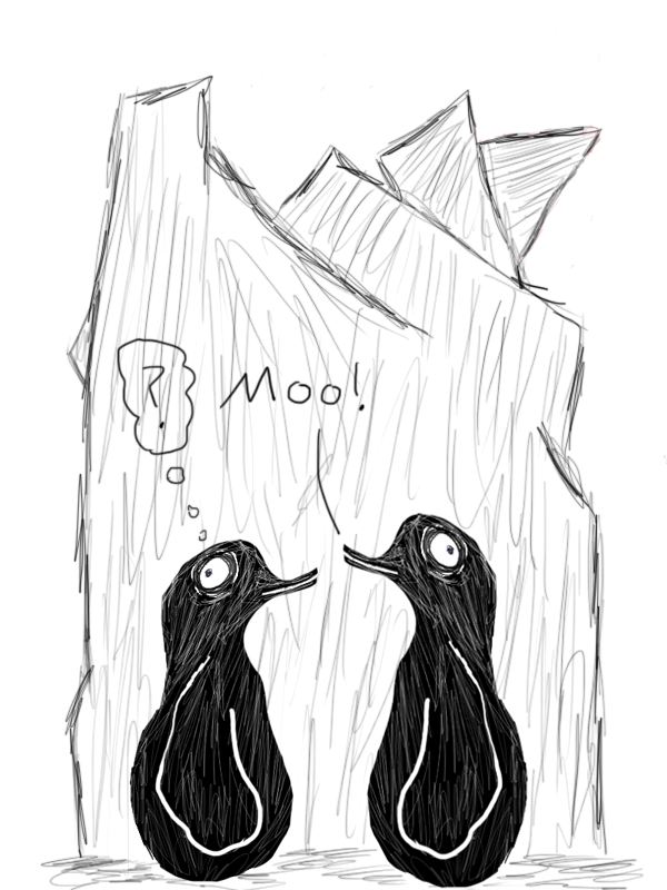 Puffins 3