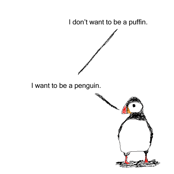 Puffins 2