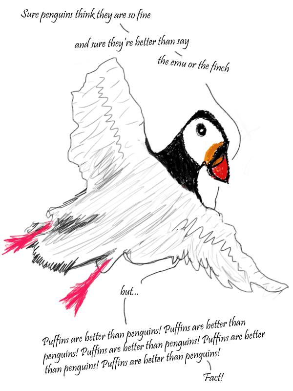 Puffins 4