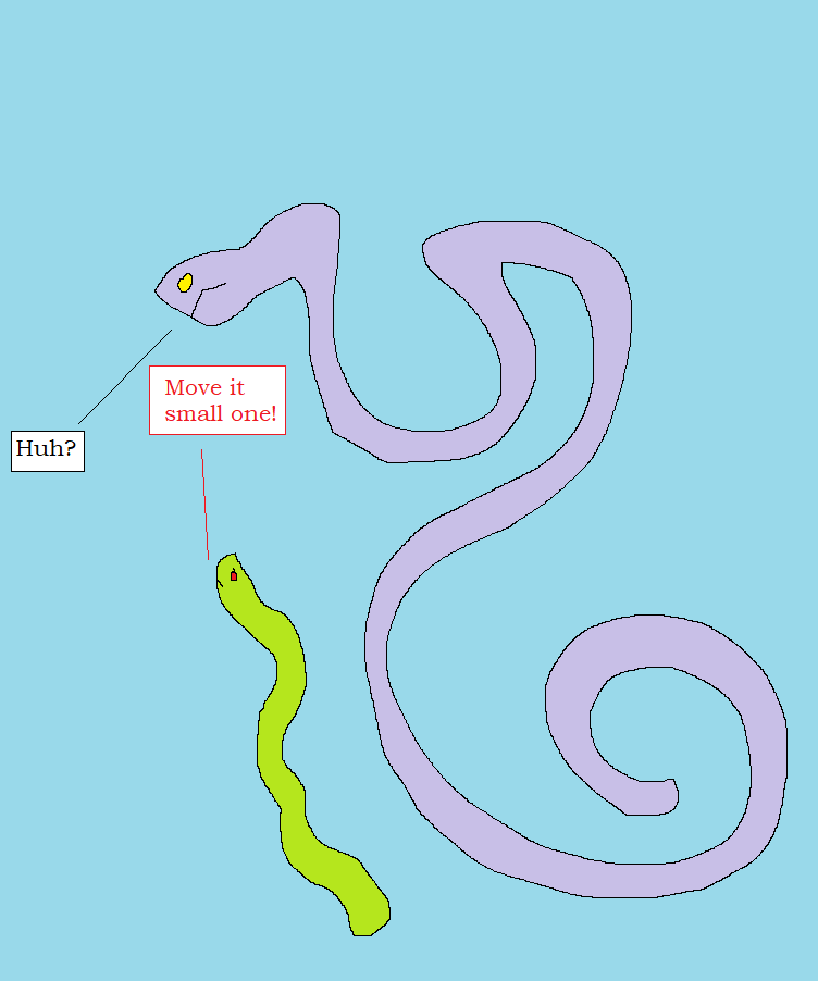 Snakes 18