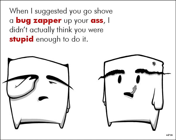 Bug Zapper Goes Where?