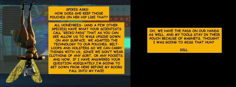 DILL'S Q&A "GECKO PADS".