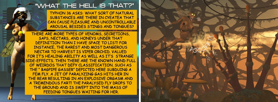 Q&A-12