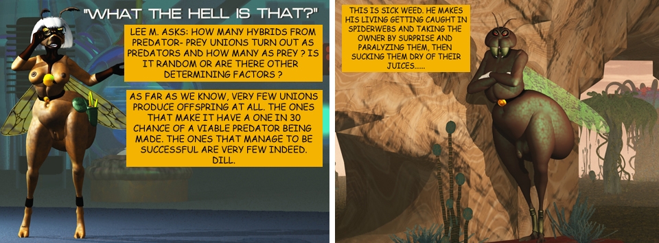 Q&A-18