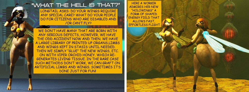 Q&A-20