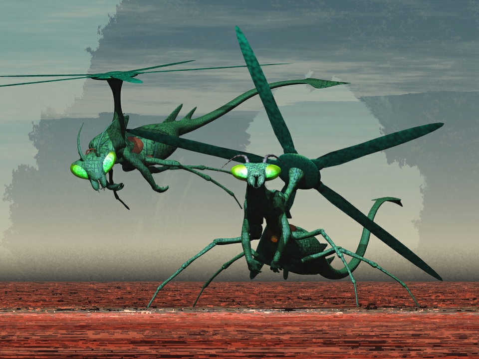PYGMY DRAGON FLYS